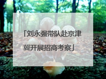 刘永强带队赴京津冀开展招商考察