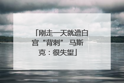 刚走一天就遭白宫“背刺” 马斯克：很失望