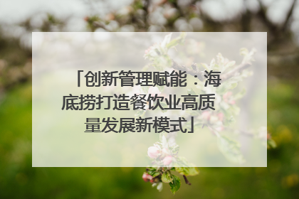 创新管理赋能：海底捞打造餐饮业高质量发展新模式