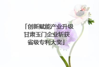 创新赋能产业升级 甘肃玉门企业斩获省级专利大奖