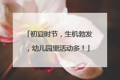 初夏时节，生机勃发，幼儿园里活动多！