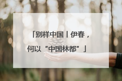 别样中国丨伊春，何以“中国林都”