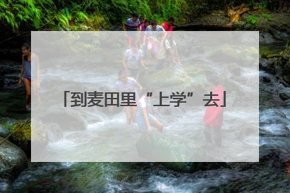 到麦田里“上学”去