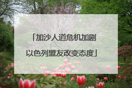 加沙人道危机加剧 以色列盟友改变态度