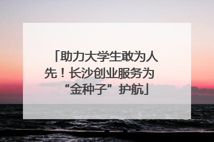 助力大学生敢为人先！长沙创业服务为“金种子”护航