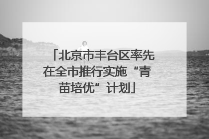 北京市丰台区率先在全市推行实施“青苗培优”计划