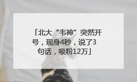 北大“韦神”突然开号，现身4秒，说了3句话，吸粉12万