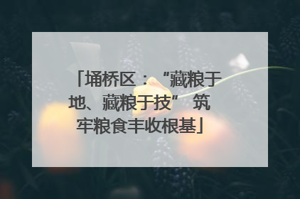 埇桥区：“藏粮于地、藏粮于技” 筑牢粮食丰收根基
