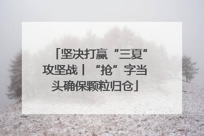坚决打赢“三夏”攻坚战丨“抢”字当头确保颗粒归仓
