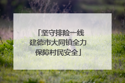 坚守排险一线 建德市大同镇全力保障村民安全