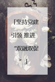 坚持党建引领 推进“双融双促”