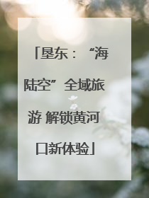 垦东：“海陆空”全域旅游 解锁黄河口新体验