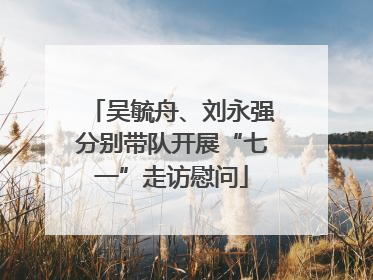 吴毓舟、刘永强分别带队开展“七一”走访慰问