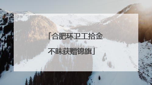 合肥环卫工拾金不昧获赠锦旗