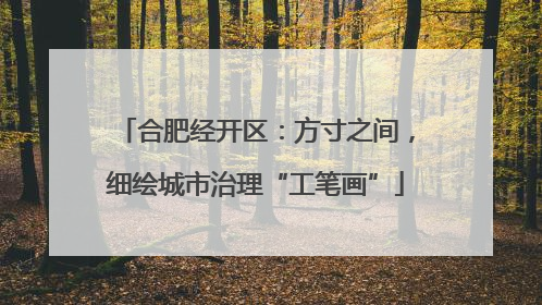 合肥经开区：方寸之间，细绘城市治理“工笔画”