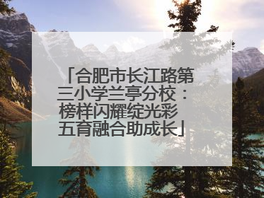 合肥市长江路第三小学兰亭分校：榜样闪耀绽光彩 五育融合助成长