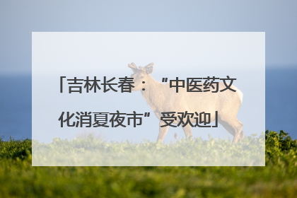 吉林长春：“中医药文化消夏夜市”受欢迎