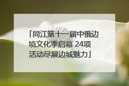 同江第十一届中俄边境文化季启幕 24项活动尽展边城魅力