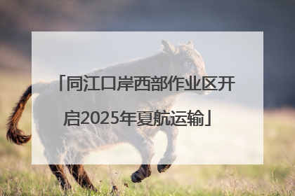 同江口岸西部作业区开启2025年夏航运输