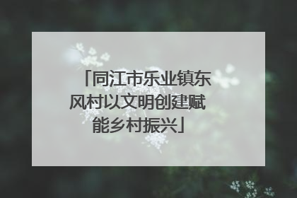 同江市乐业镇东风村以文明创建赋能乡村振兴