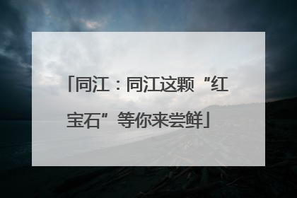 同江：同江这颗“红宝石”等你来尝鲜