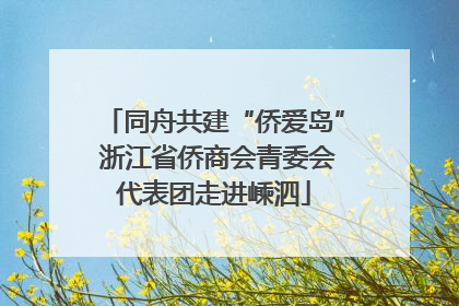 同舟共建“侨爱岛” 浙江省侨商会青委会代表团走进嵊泗