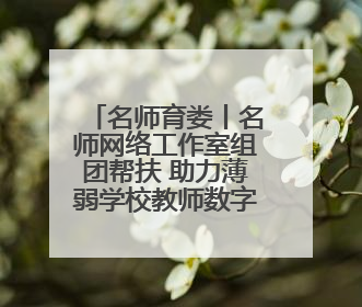 名师育娄丨名师网络工作室组团帮扶 助力薄弱学校教师数字素养提升