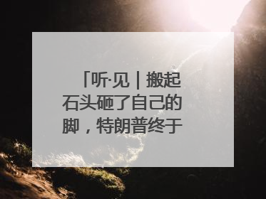 听·见｜搬起石头砸了自己的脚，特朗普终于“慌”了！
