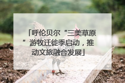 呼伦贝尔“三美草原”游牧迁徙季启动，推动文旅融合发展