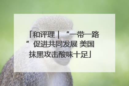 和评理｜“一带一路”促进共同发展 美国抹黑攻击酸味十足