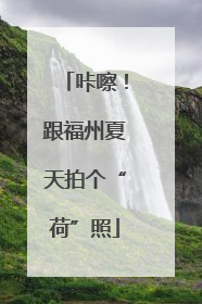 咔嚓！跟福州夏天拍个“荷”照
