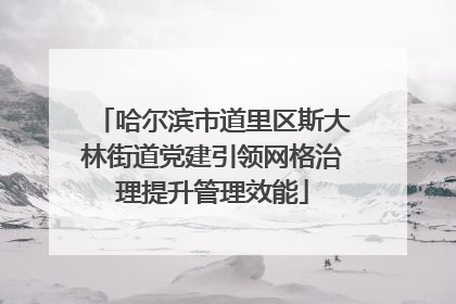 哈尔滨市道里区斯大林街道党建引领网格治理提升管理效能