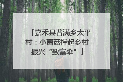 嘉禾县普满乡太平村：小菌菇撑起乡村振兴“致富伞”