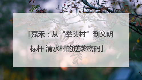 嘉禾：从“拳头村”到文明标杆 清水村的逆袭密码