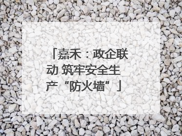 嘉禾：政企联动 筑牢安全生产“防火墙”