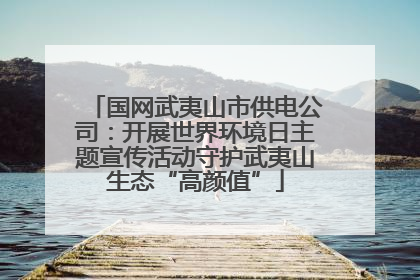 国网武夷山市供电公司：开展世界环境日主题宣传活动守护武夷山生态“高颜值”