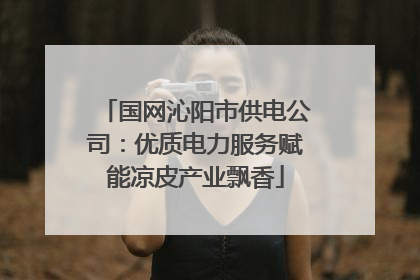 国网沁阳市供电公司：优质电力服务赋能凉皮产业飘香