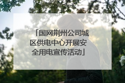 国网荆州公司城区供电中心开展安全用电宣传活动