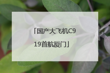 国产大飞机C919首航厦门