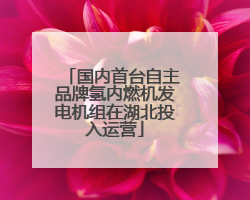 国内首台自主品牌氢内燃机发电机组在湖北投入运营