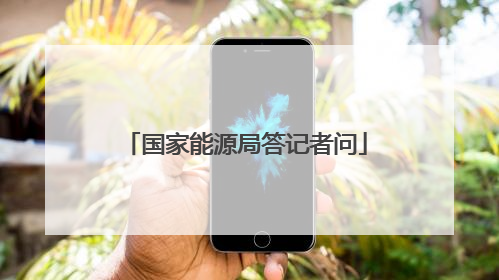 国家能源局答记者问