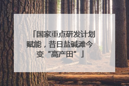 国家重点研发计划赋能，昔日盐碱滩今变“高产田”