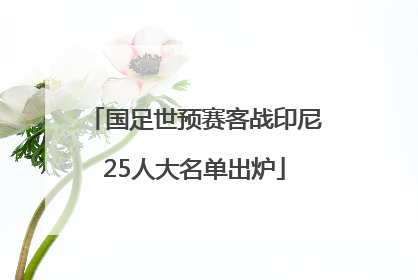 国足世预赛客战印尼25人大名单出炉