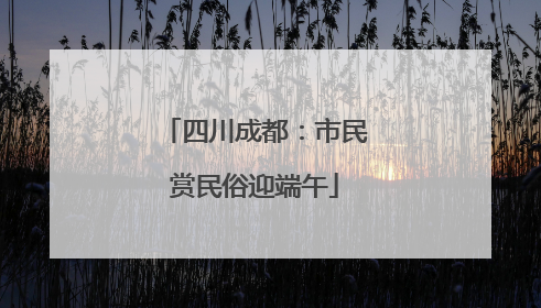 四川成都：市民赏民俗迎端午