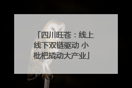四川旺苍：线上线下双链驱动 小枇杷撬动大产业