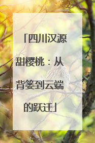 四川汉源甜樱桃：从背篓到云端的跃迁
