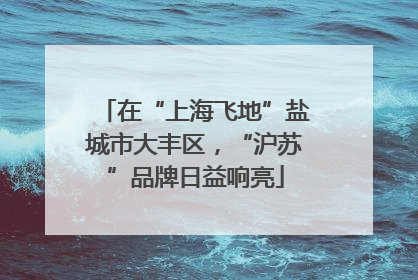 在“上海飞地”盐城市大丰区，“沪苏”品牌日益响亮
