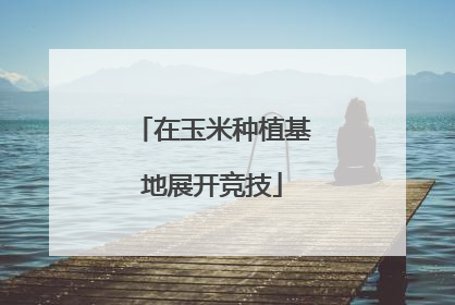 在玉米种植基地展开竞技