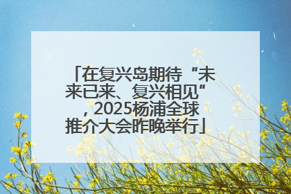 在复兴岛期待“未来已来、复兴相见”，2025杨浦全球推介大会昨晚举行