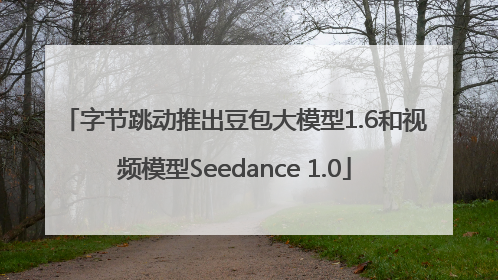 字节跳动推出豆包大模型1.6和视频模型Seedance 1.0